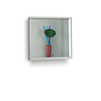 Vitrine WMS H1000 W Tech met 4x extra legbord 960 x 260 6 mm incl. steunen, max 8 kg